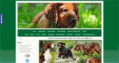 Desktop Screenshot of pointer-und-setter.de